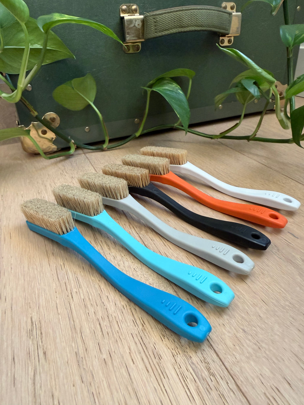Beta Brush